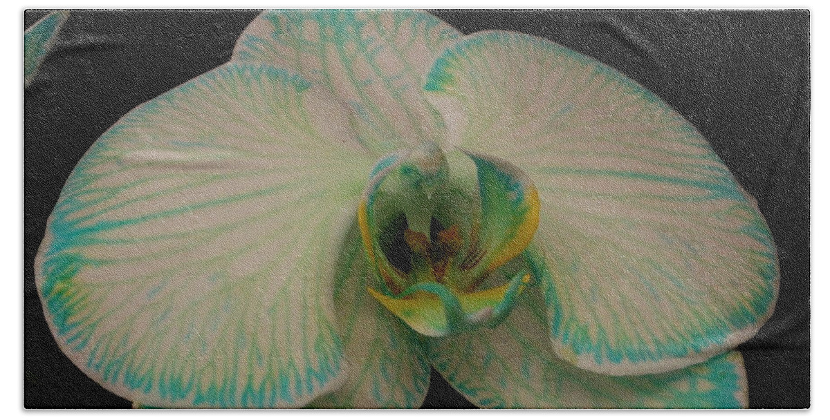 Orchid Bath Towel featuring the photograph Orchid in White and Turquoise by Dora Sofia Caputo