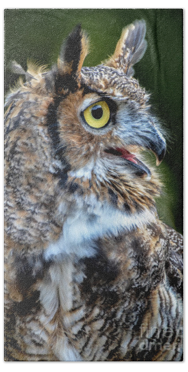 Great Horned Owl Hand Towel featuring the photograph Expressive by Amy Porter
