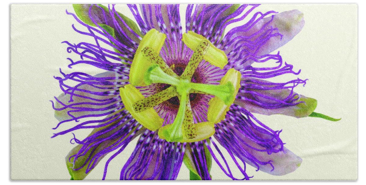 Expressive Bath Towel featuring the photograph Expressive Yellow Green and Violet Passion Flower 50674Y by Ricardos Creations