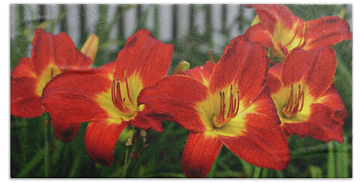 Daylily Hand Towel featuring the photograph Eye Catching by Sandy Keeton