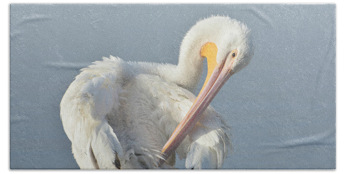American White Pelican Bath Towel featuring the photograph Eye On The Details by Fraida Gutovich