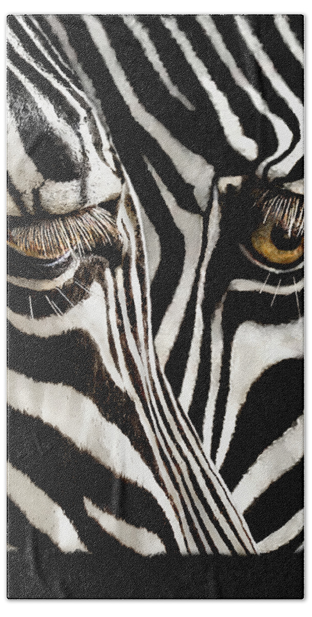 Zebra Hand Towel featuring the photograph Eyes and Stripes Forever by Jennie Breeze