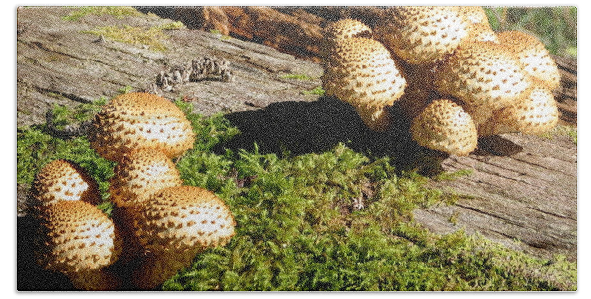 Fungi Hand Towel featuring the photograph Fabulus Fungi by David Bader