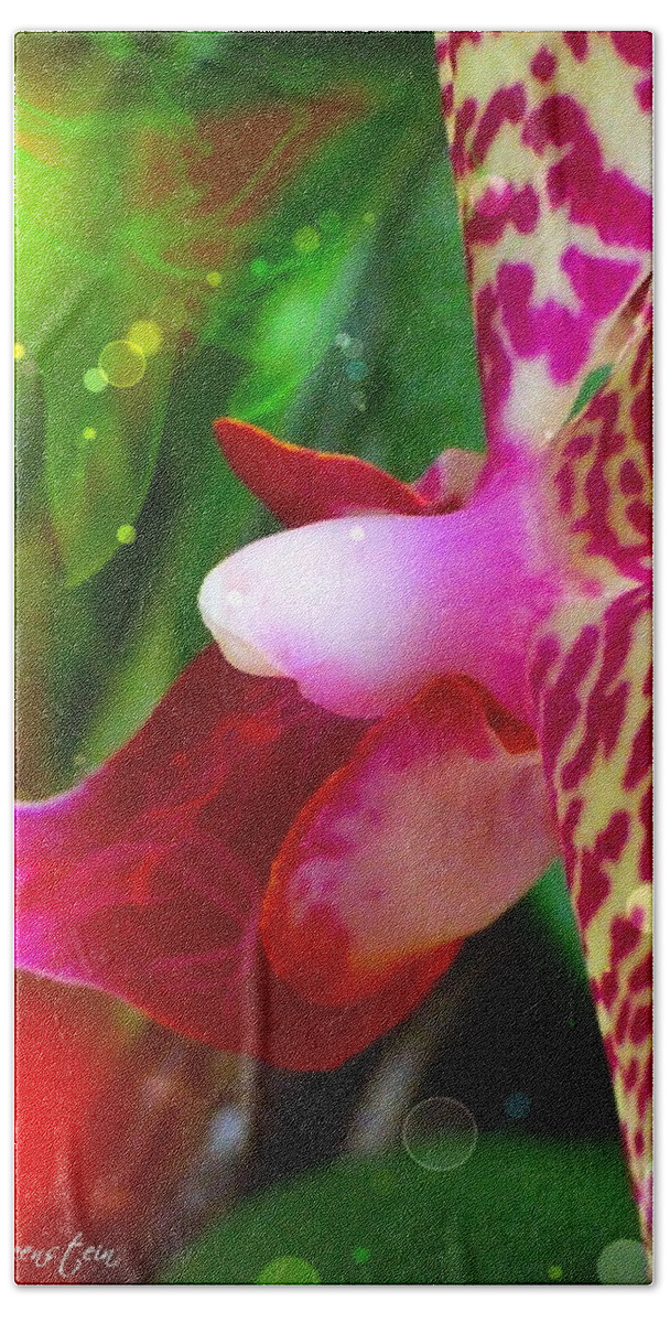 Flower Hand Towel featuring the photograph Fairy Orchid by Cindy Greenstein