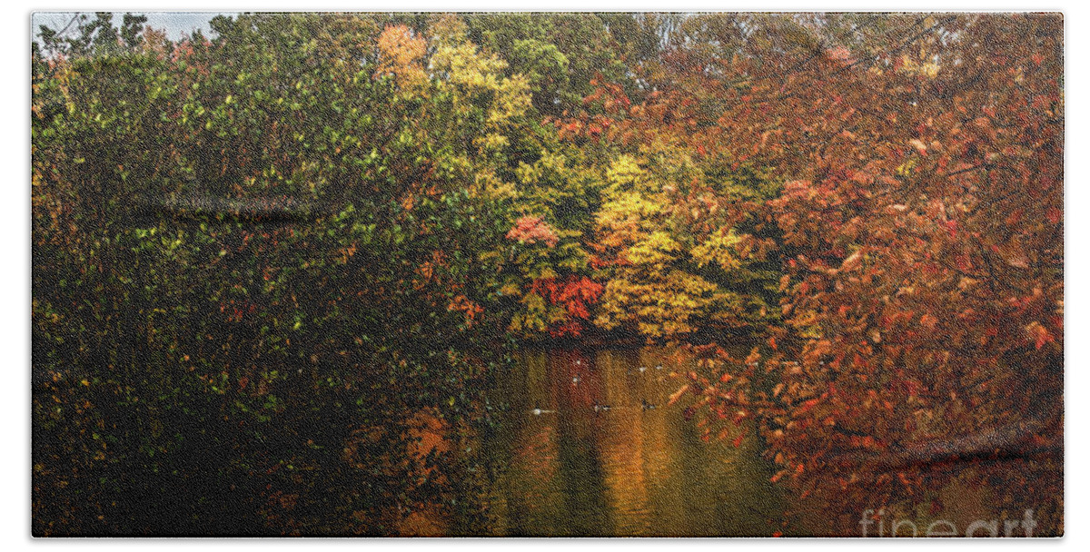 Fall Hand Towel featuring the photograph Fall At The Lake by Judy Wolinsky