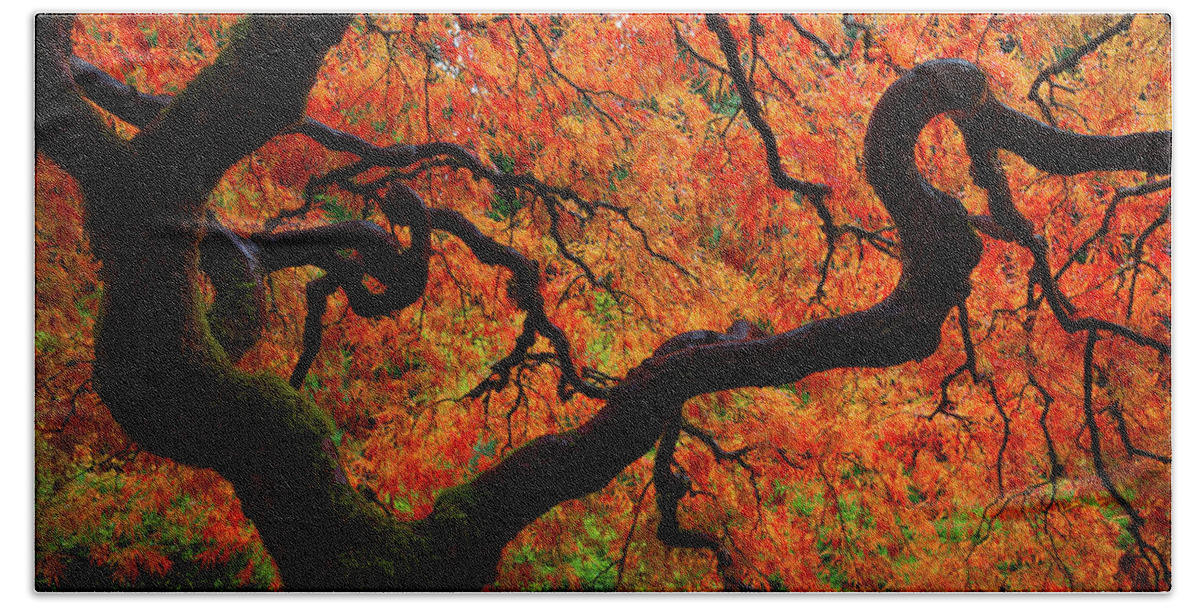 Trees Bath Towel featuring the photograph Fall Chaos by Darren White