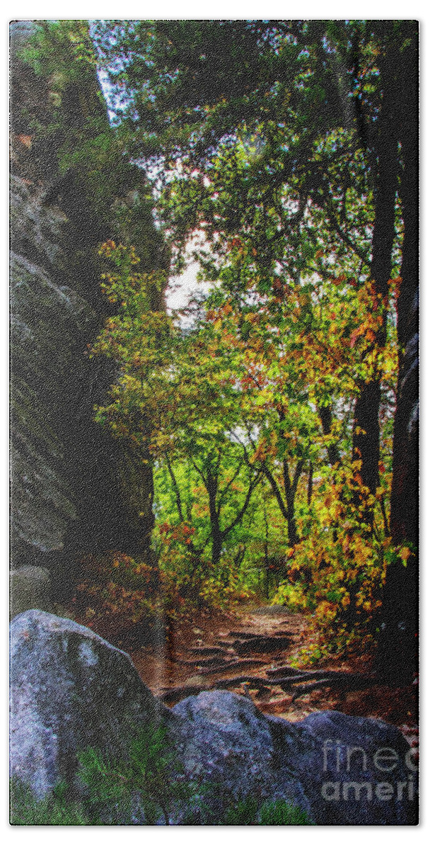 Fall Color Bath Towel featuring the photograph Fall color lights up the trail by Barbara Bowen