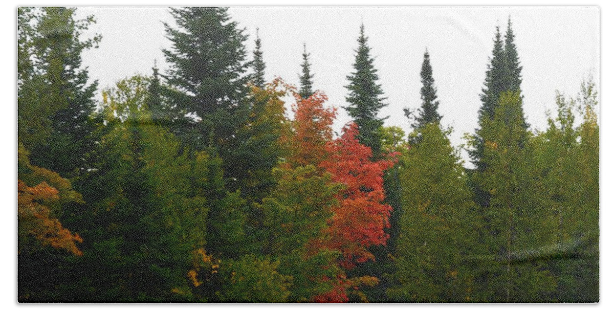 Color Hand Towel featuring the photograph Fall Colors Are Starting by Hella Buchheim