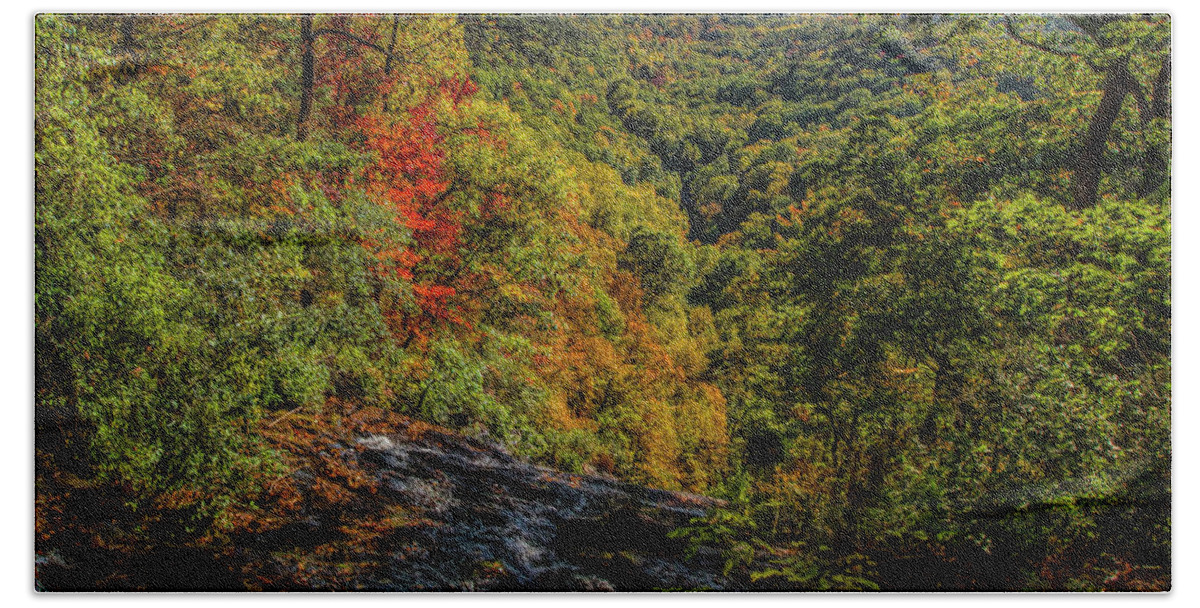 Amicolola Falls State Park Hand Towel featuring the photograph Fall Colors from the Top of Amicolola Falls by Barbara Bowen