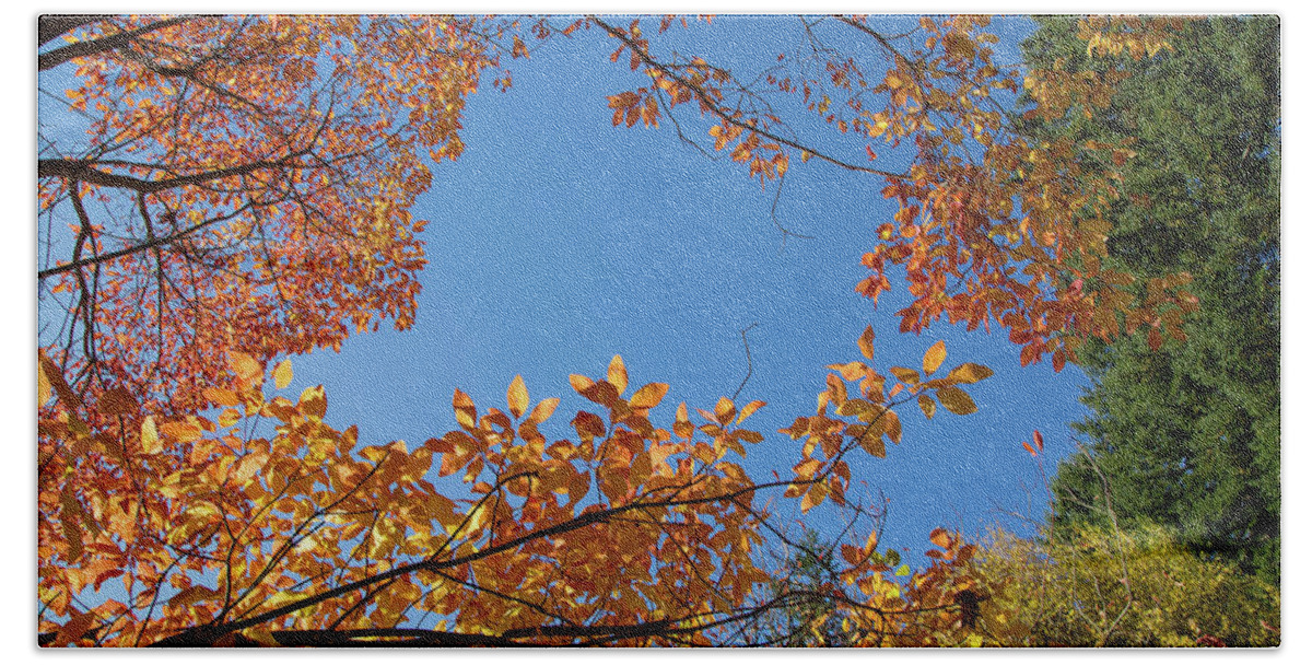 Hoyt Arboretum Portland Bath Towel featuring the photograph Fall colors in Hoyt Arboretum by Kunal Mehra