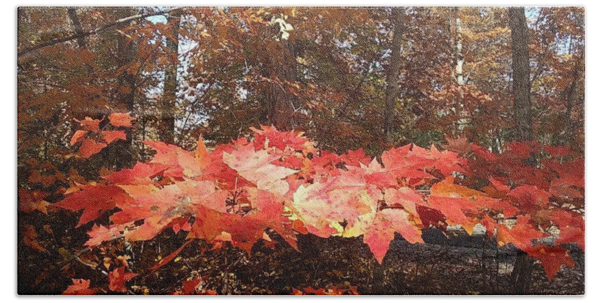 Fall Foliage Bath Towel by Deborah Lacoste - Pixels