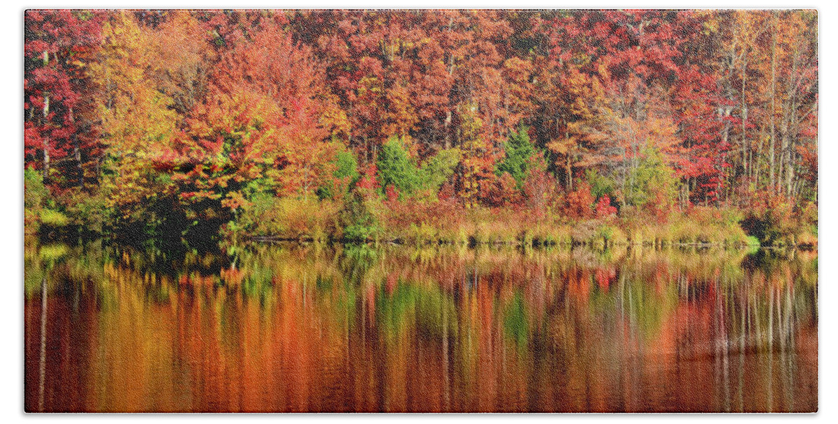 Fall Bath Towel featuring the photograph Fall foliage by Ronda Ryan