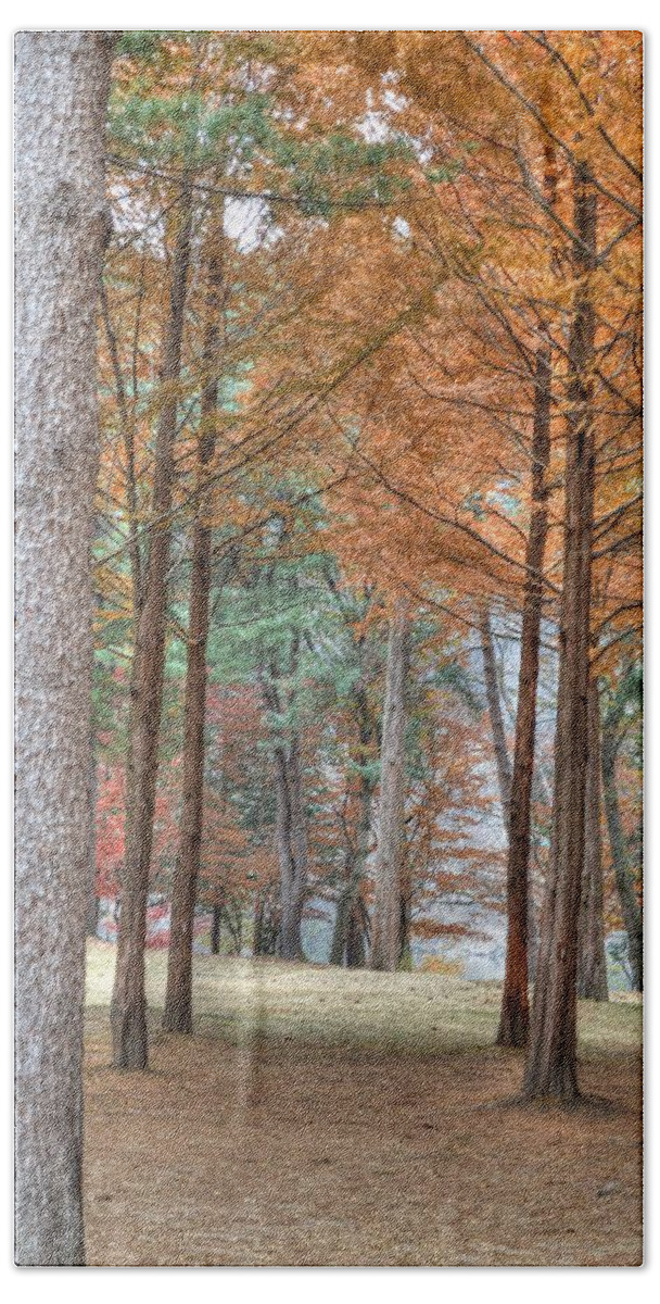 Fall Hand Towel featuring the photograph Fall in Korea by Bill Hamilton