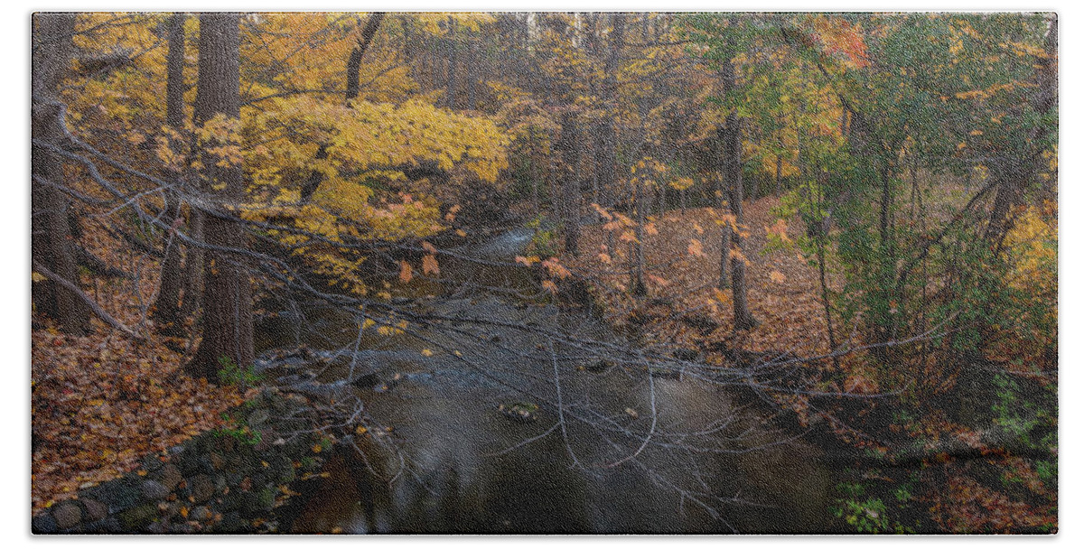 Fall Bath Towel featuring the photograph Fall in Michigan 3 by Pravin Sitaraman