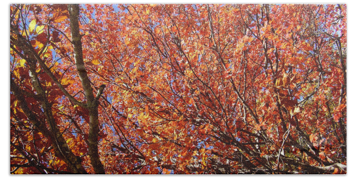 Fall Hand Towel featuring the photograph Fall in the Blue Ridge Mountains by Flavia Westerwelle