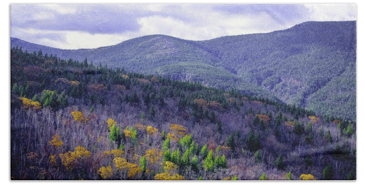 Fall Hand Towel featuring the photograph Fall in the White Mountains by Gary Shepard