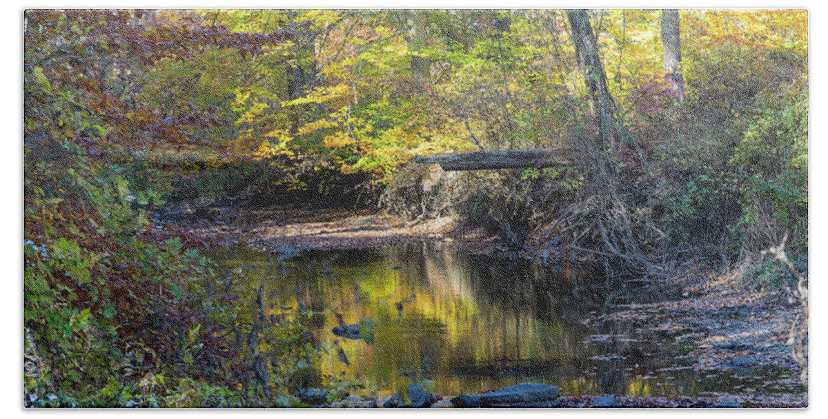 Nature Hand Towel featuring the photograph Fall Morning by Paul Ross