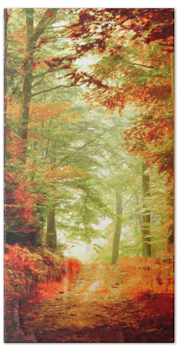 Autumn Bath Towel featuring the photograph Fall painting by Philippe Sainte-Laudy