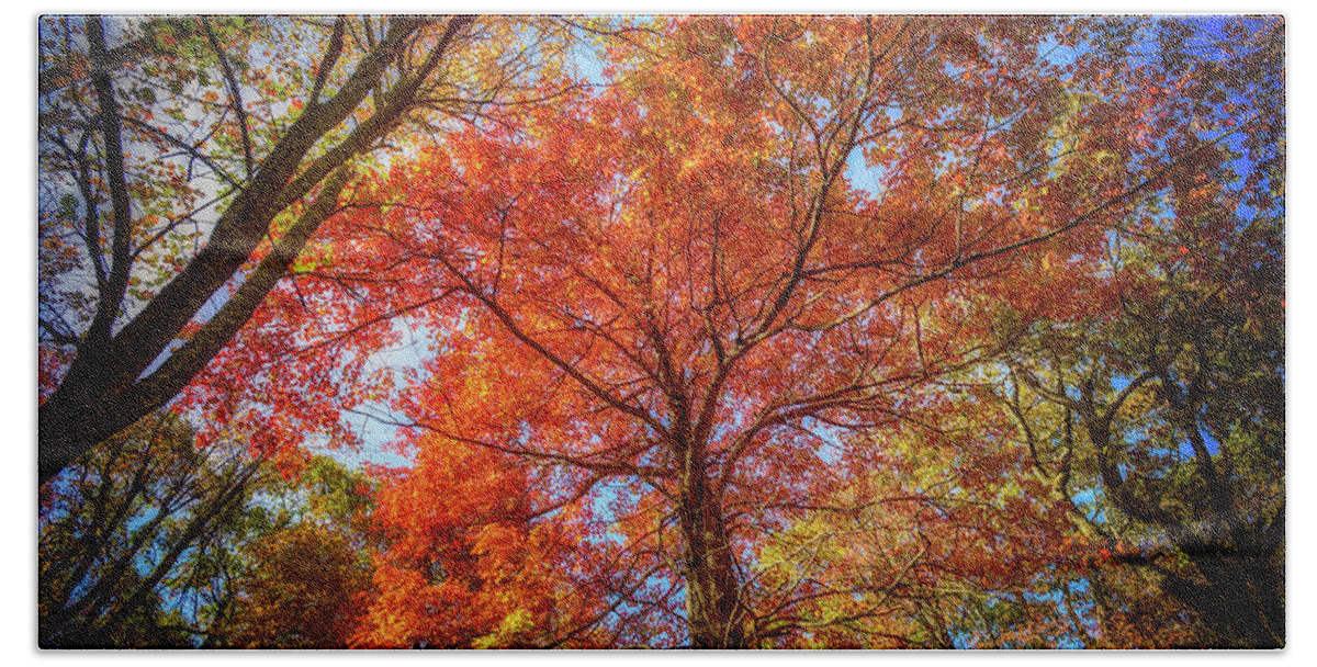 Landscape Bath Towel featuring the photograph Fall Red by Joe Shrader