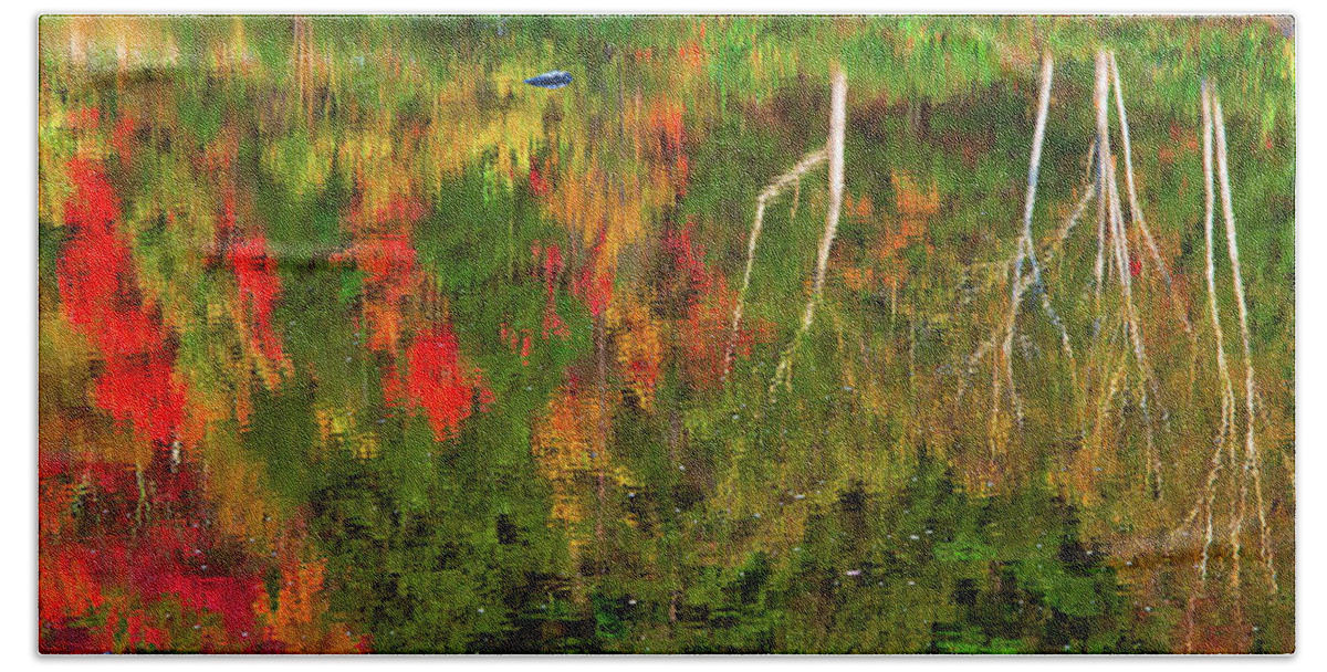 Fall Hand Towel featuring the photograph Fall Reflections 2017 by Robert Clifford