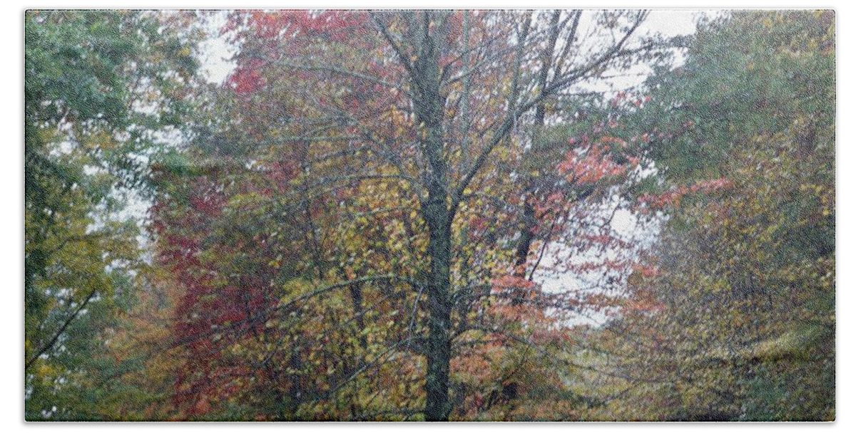 Foliage. Fall Hand Towel featuring the photograph Fall Season by Art By G-Sheff