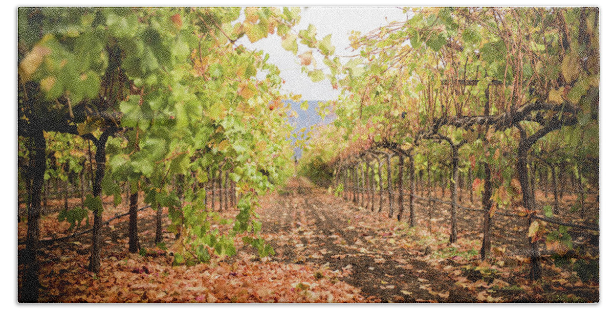 Napa Valley Bath Towel featuring the photograph Fall Vineyards by Aileen Savage