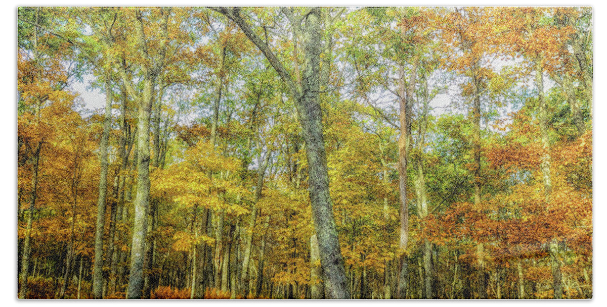 Landscape Hand Towel featuring the photograph Fall Yellow by Joe Shrader