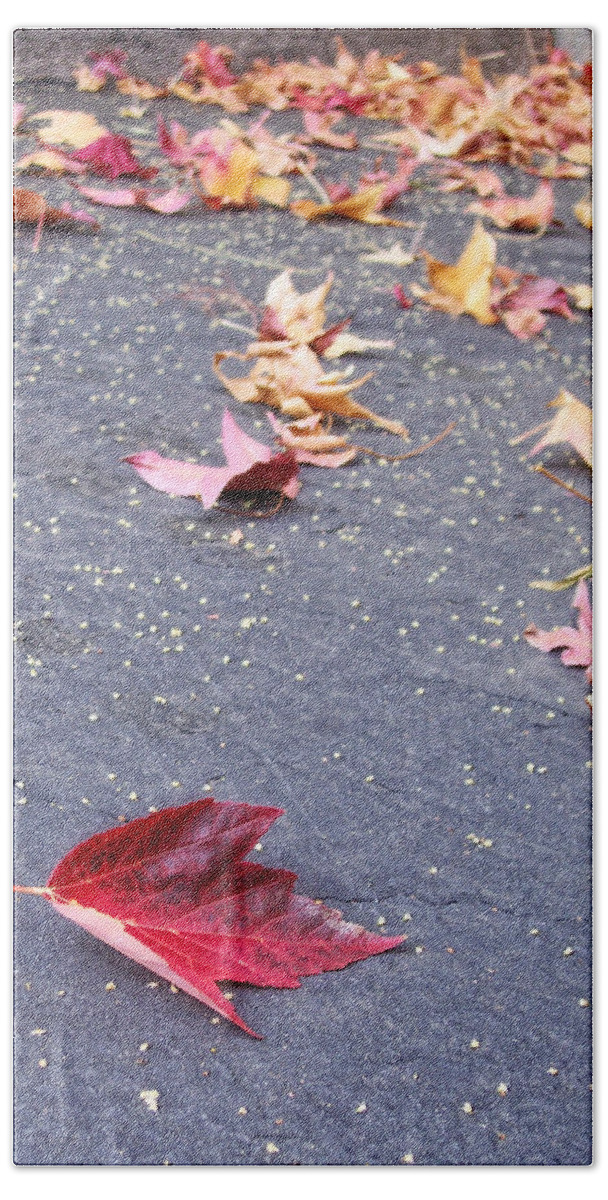 Leaves Bath Towel featuring the photograph Fallen by Donna Blackhall
