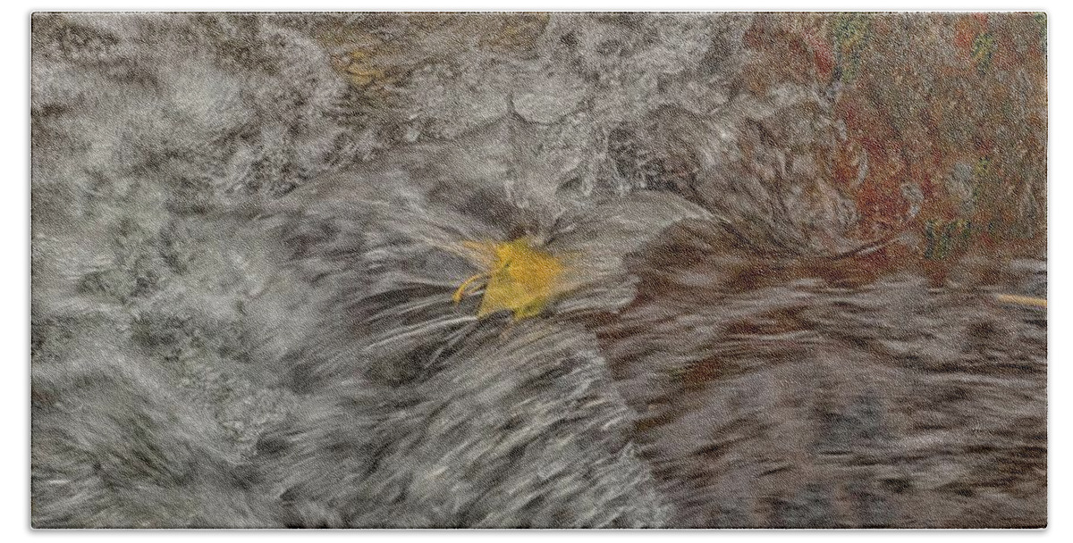 Fall Bath Towel featuring the photograph Fallen Leaf by Patricia Dennis