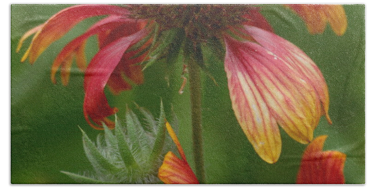 Flower Bath Towel featuring the pyrography Fallen Petals by Rose Benson