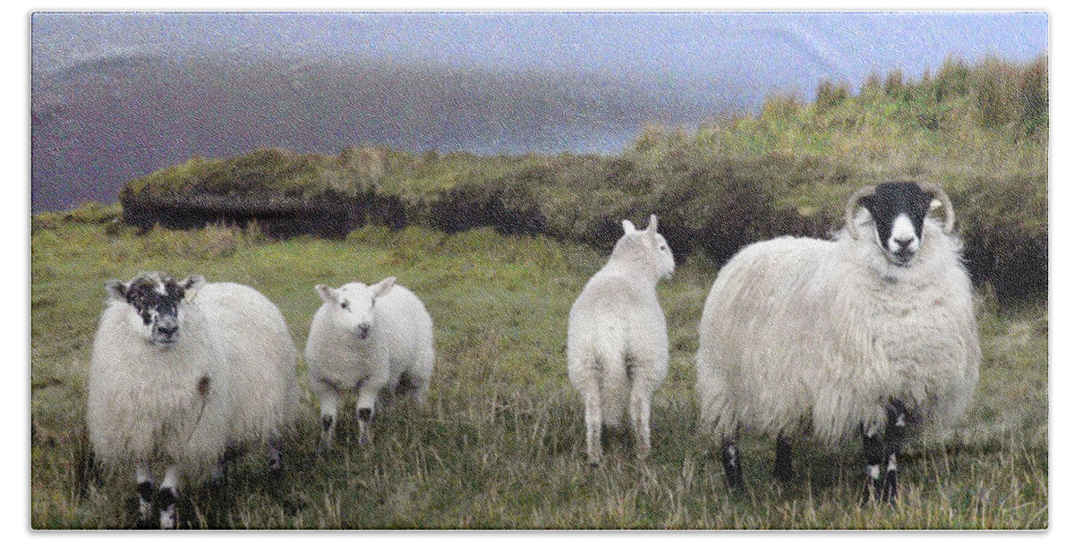 Sheep Hand Towel featuring the digital art Family of Sheep by Vicki Lea Eggen