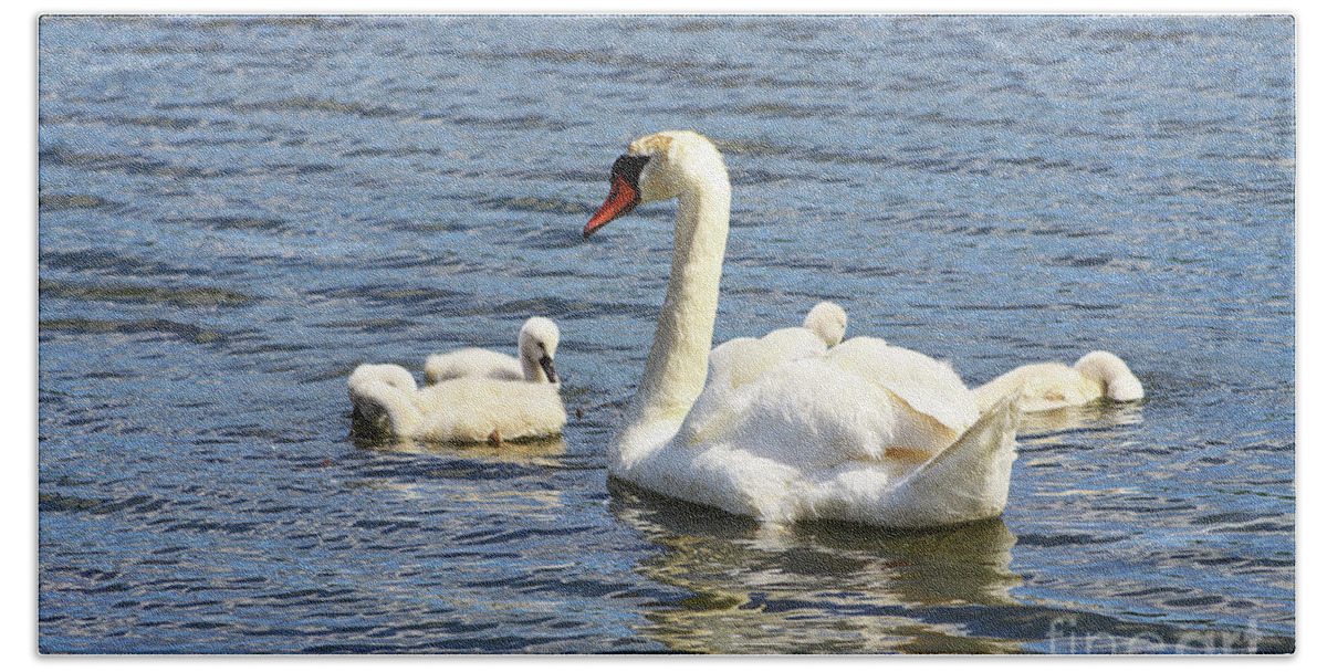 Swan Bath Towel featuring the photograph Family Time by Alyce Taylor