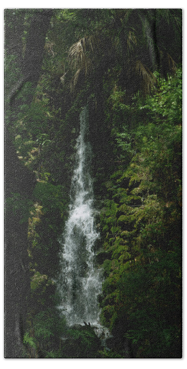 Rainbow River Springs Hand Towel featuring the photograph Fantasy Falls by Bob Johnson