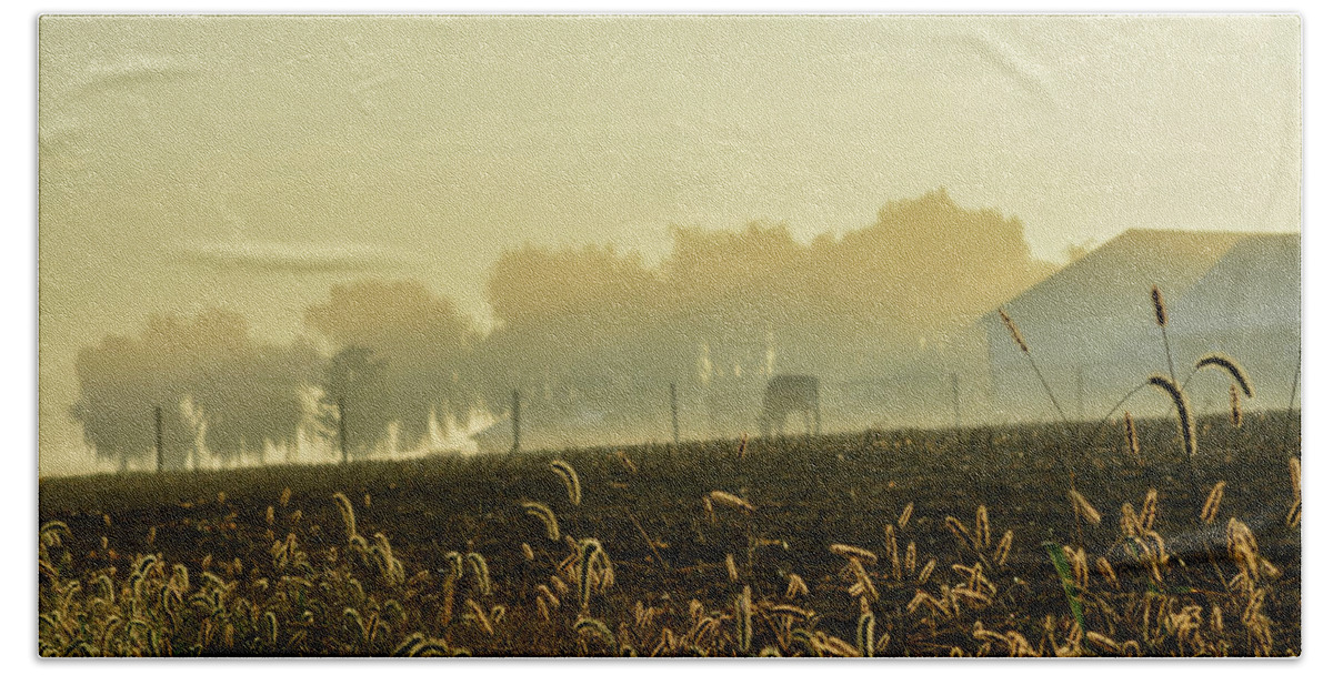 Sunrise Hand Towel featuring the photograph Fog and Light #4 by Tana Reiff