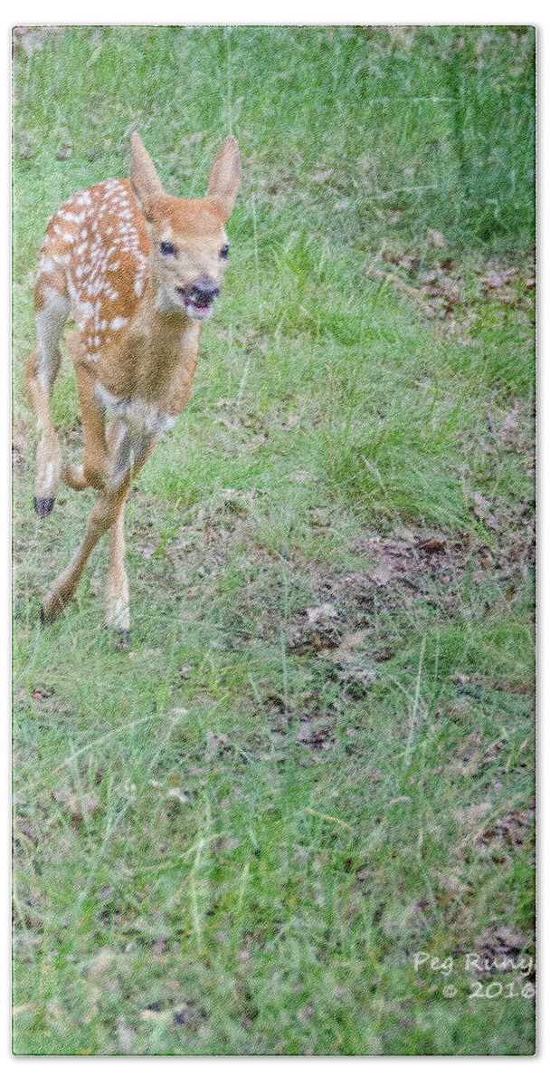 Fawn Hand Towel featuring the photograph Fast Fawn by Peg Runyan