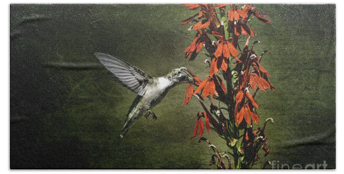 Hummingbird Bath Towel featuring the photograph Feasting by Judy Wolinsky