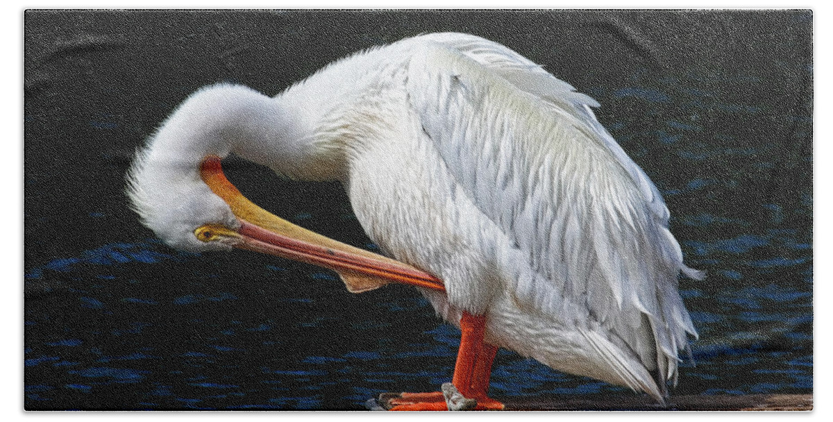 American White Pelican Bath Towel featuring the photograph Feather Check by HH Photography of Florida