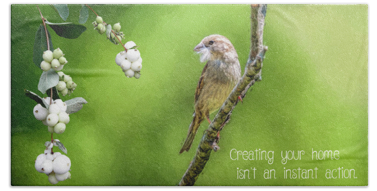 Sparrow Bath Towel featuring the photograph Feathering The Nest by Cathy Kovarik