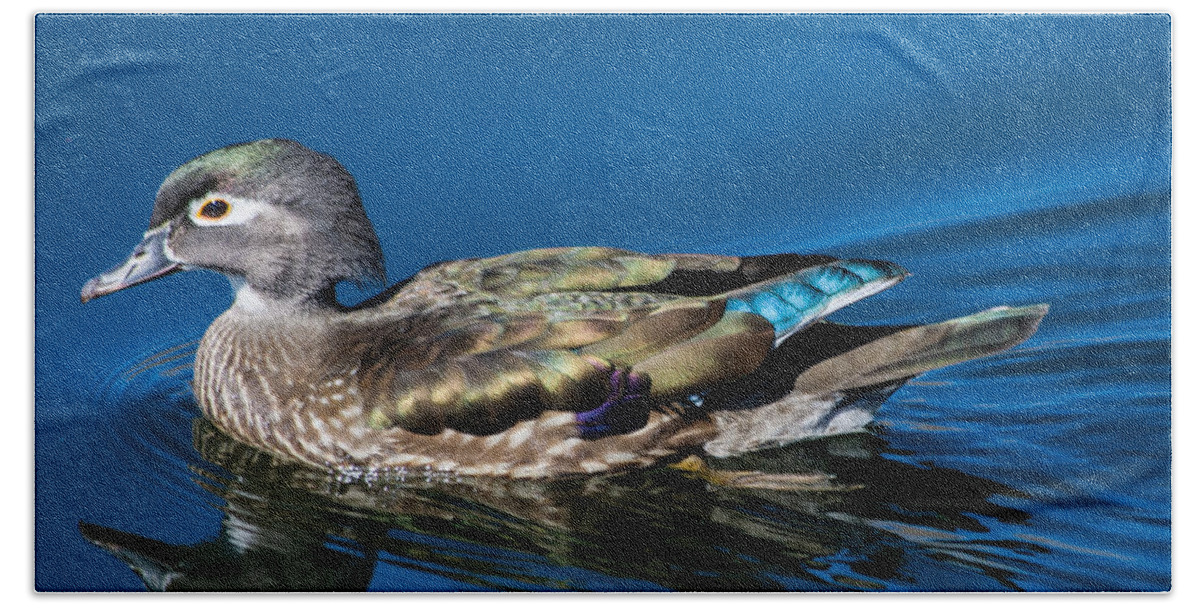 Wood Duck Bath Towel featuring the photograph Female Wood Duck by Mindy Musick King