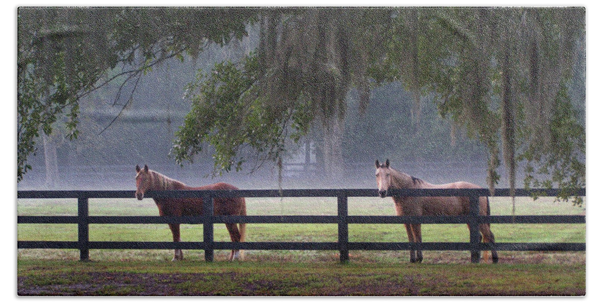 Horses Bath Towel featuring the photograph Fenced In by Jerry Griffin