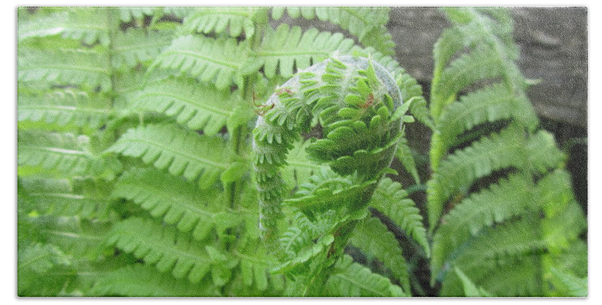 Fern Bath Towel featuring the photograph Fern by Jackie Russo