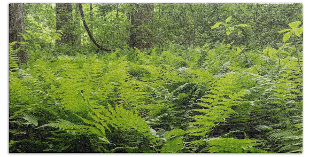 Ferns Bath Towel featuring the photograph Fern Woods by Vic Ritchey