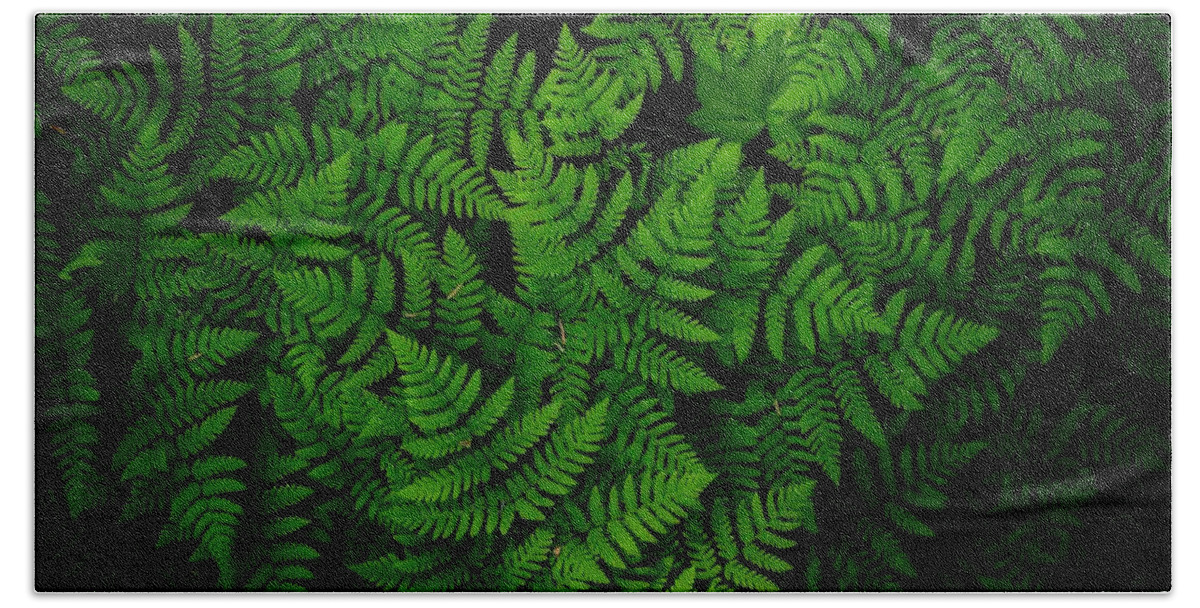 Ferns Galore Hand Towel featuring the photograph Ferns galore by Lynn Hopwood