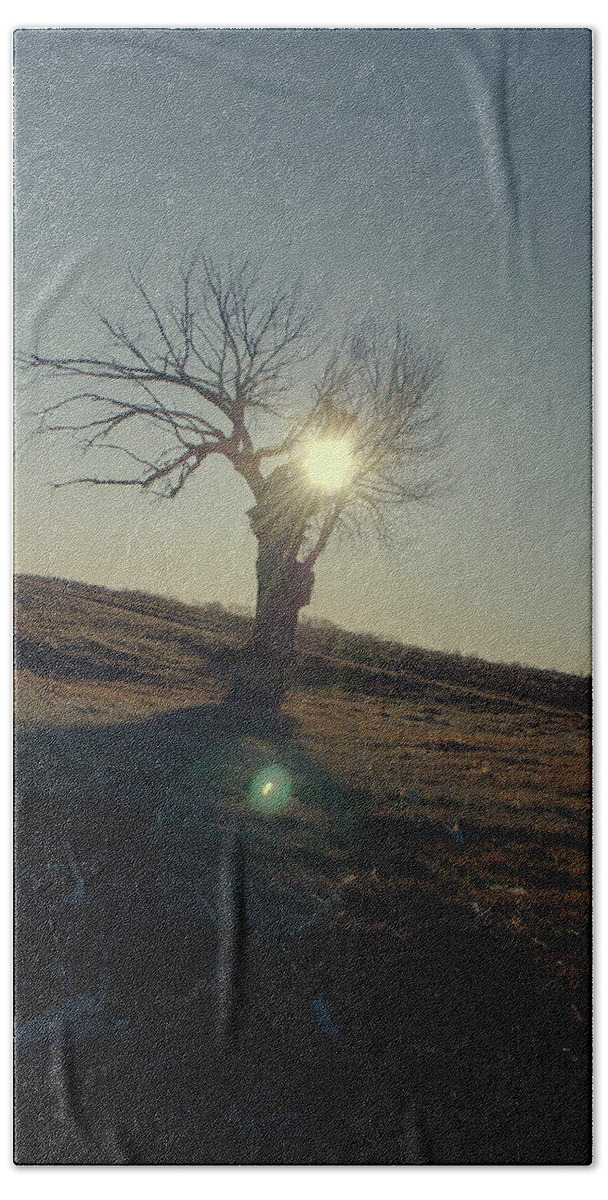Tree Bath Towel featuring the photograph Field and Tree by Troy Stapek