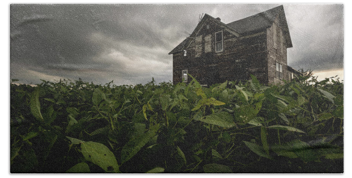 Centerville Bath Towel featuring the photograph Field of beans/dreams by Aaron J Groen