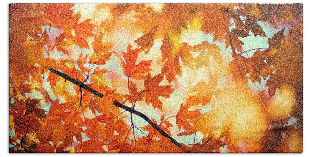 Autumn Hand Towel featuring the photograph Field of Orange by Todd Klassy