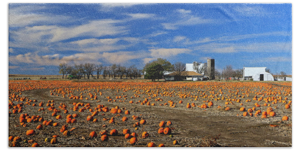 Barn Bath Towel featuring the photograph Field of Pumpkins by Christopher McKenzie