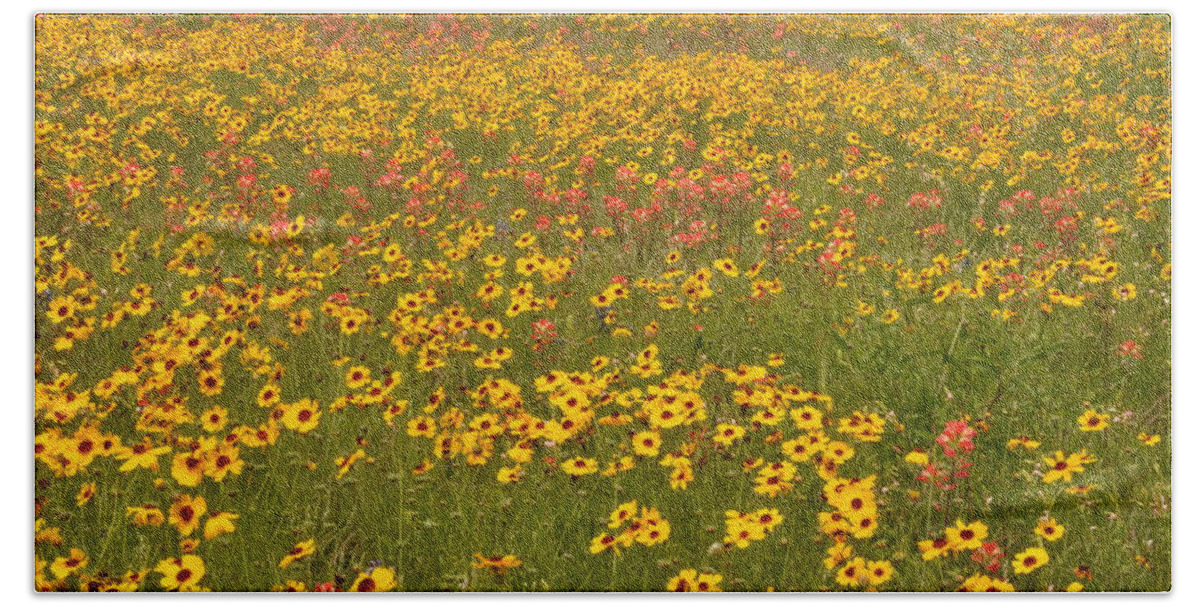 Texas Hill Country Bath Towel featuring the photograph Field of Spring Wildflowers by Frank Madia