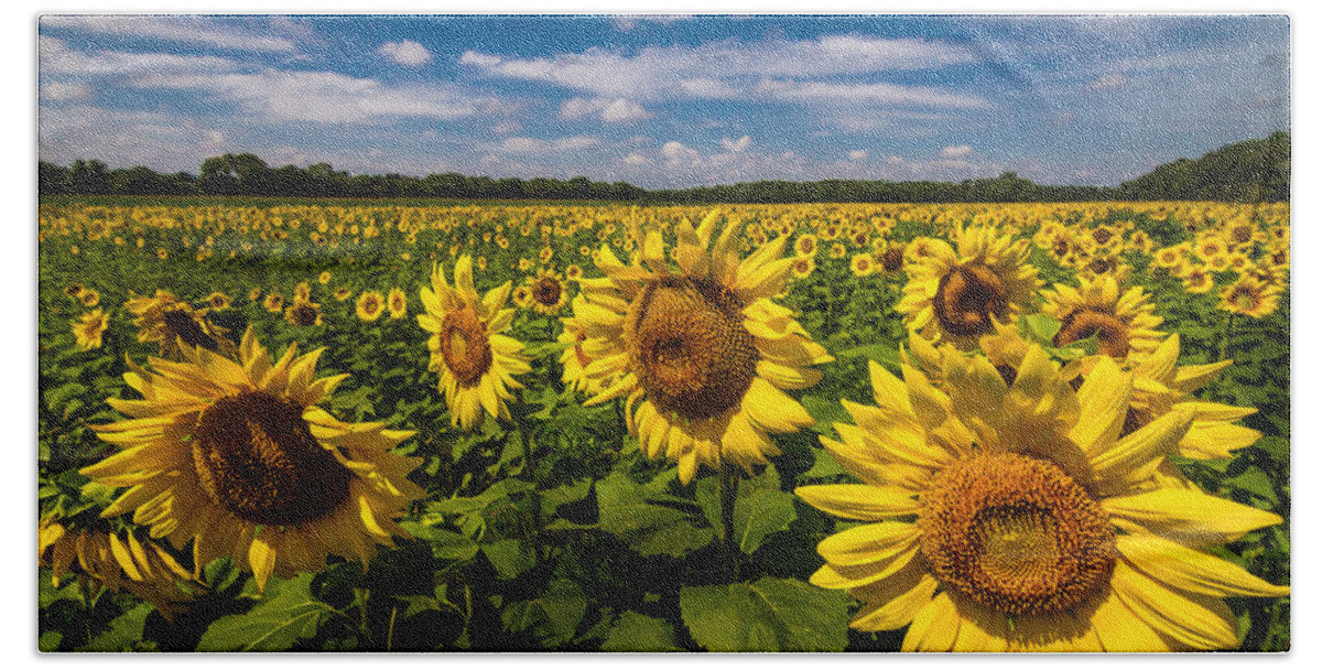 Blue Sky Bath Towel featuring the photograph Field of Sun by Ron Pate