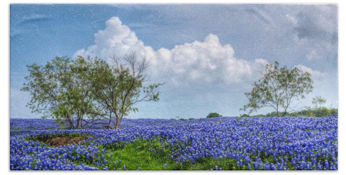 Bloom Bath Towel featuring the photograph Field of Texas Bluebonnets by David and Carol Kelly